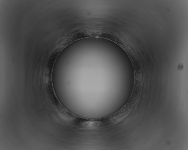 X0000089960323200707131543