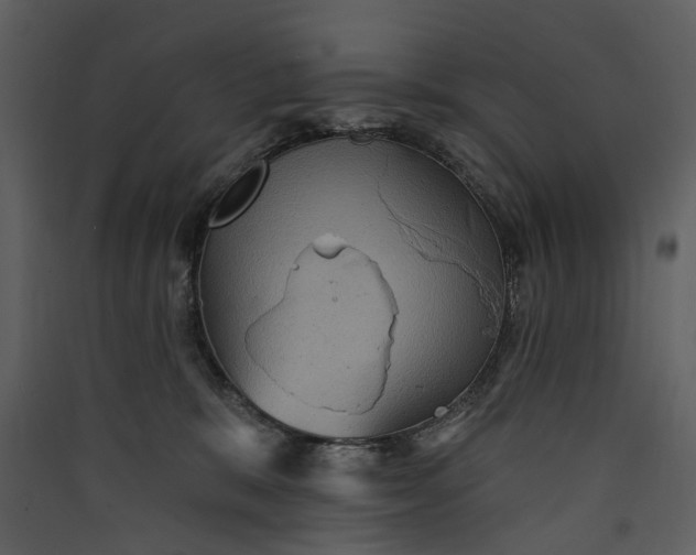 X0000089960327200707131543