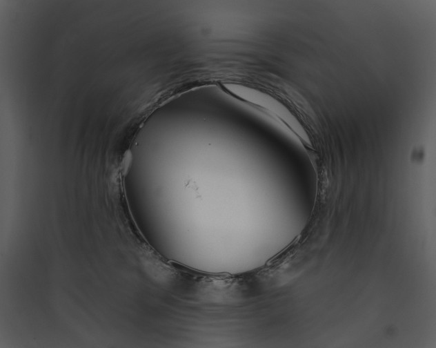 X0000089960329200707131542