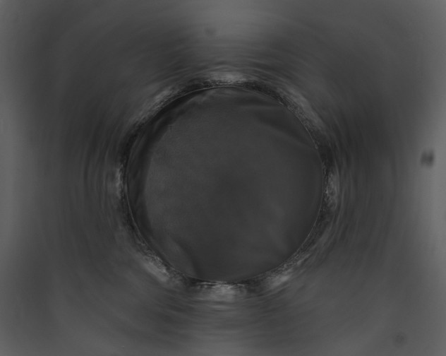 X0000089960330200707131542