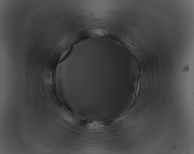 X0000089960331200707131542