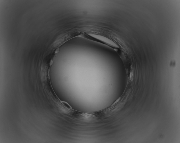 X0000089960333200707131542