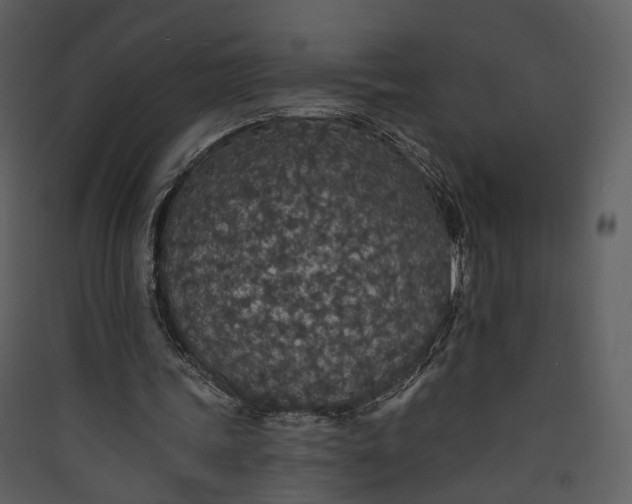 X0000089960339200707131542