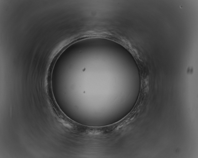 X0000089960340200707131542
