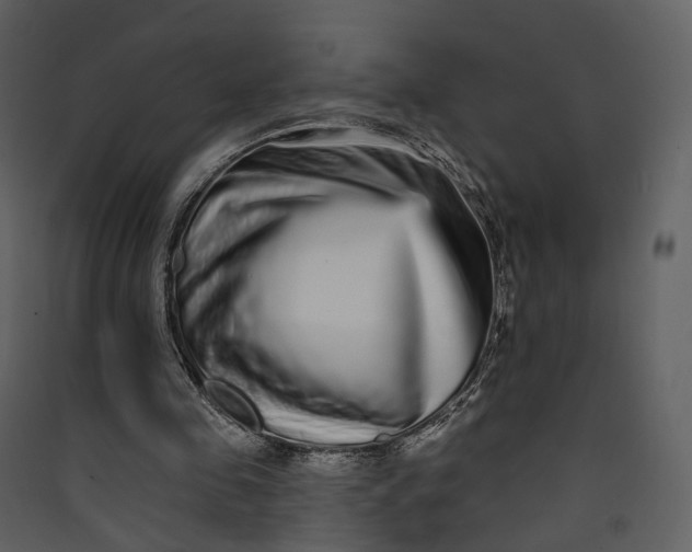 X0000089960341200707131542
