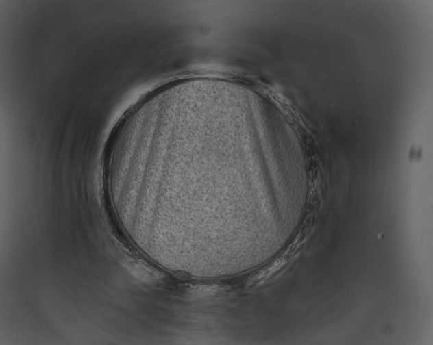 X0000089960342200707131542