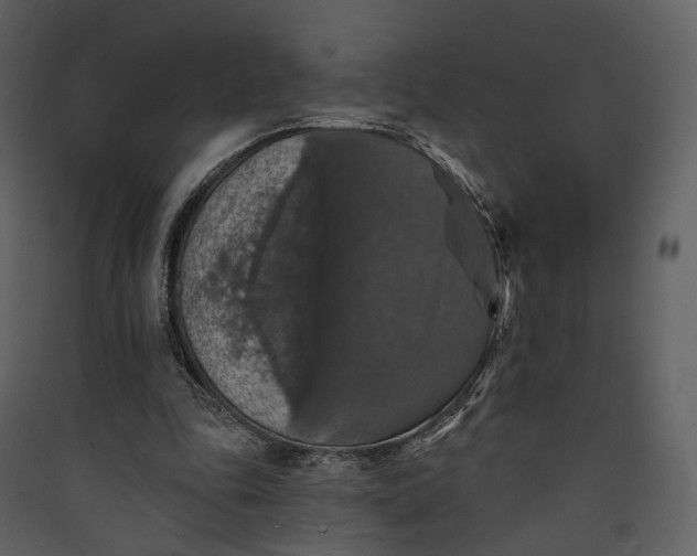 X0000089960343200707131542