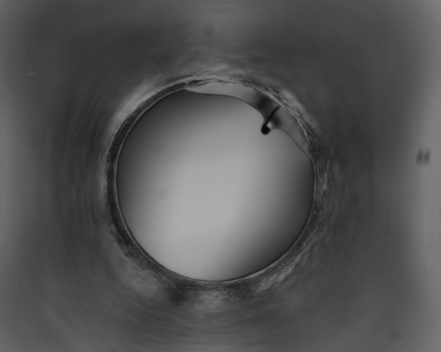 X0000089960344200707131542