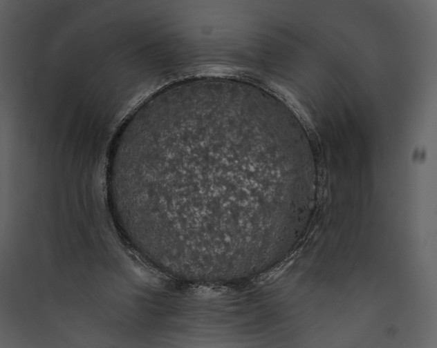 X0000089960346200707131542