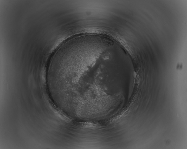 X0000089960347200707131542