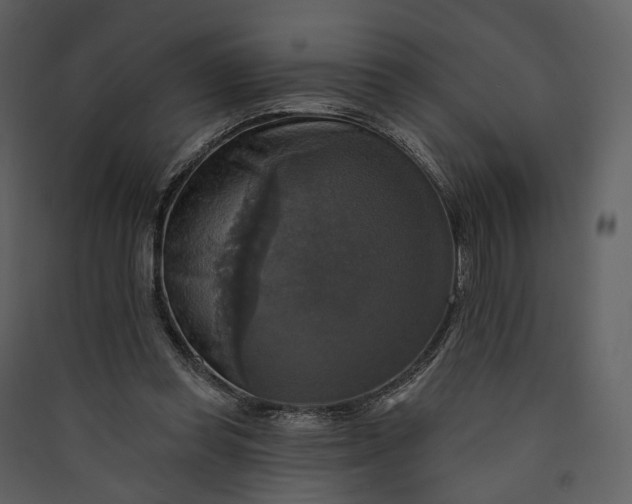X0000089960349200707131542