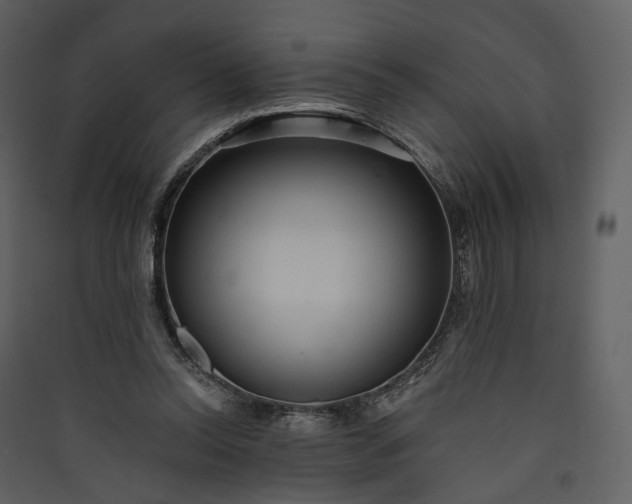 X0000089960350200707131542