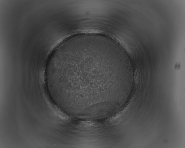 X0000089960351200707131542