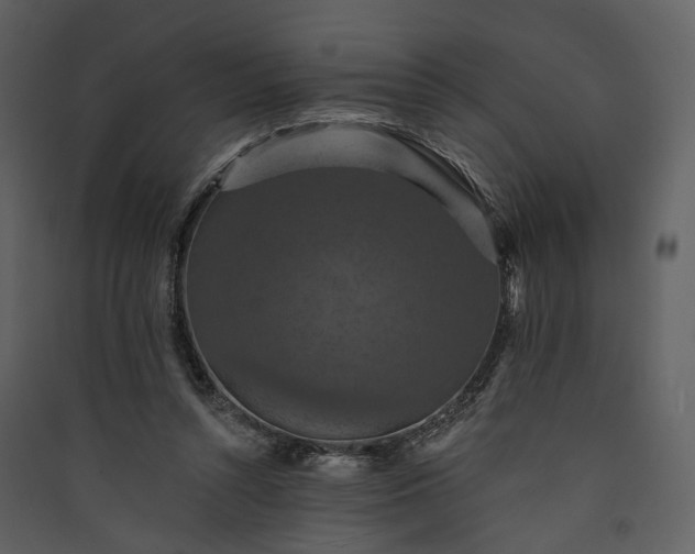 X0000089960352200707131542
