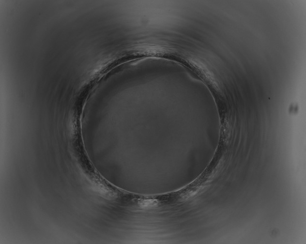 X0000089960355200707131542
