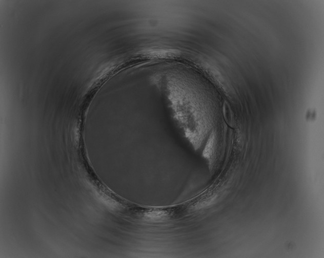 X0000089960357200707131542
