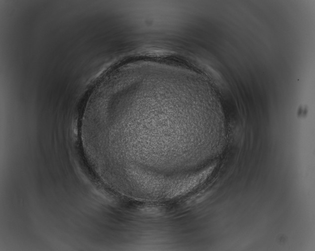 X0000089960358200707131542