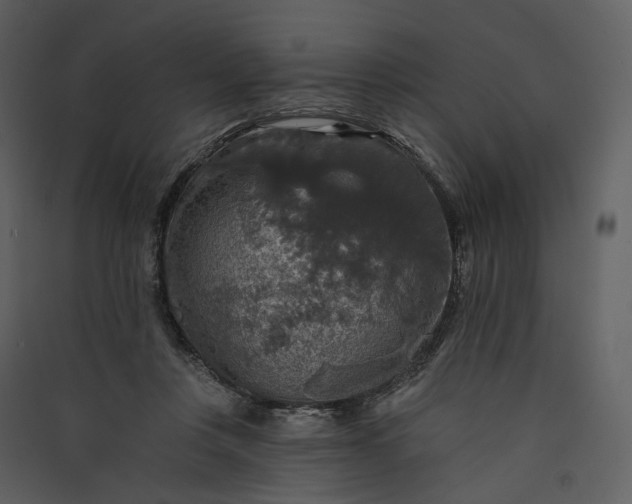 X0000089960359200707131542