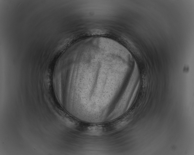 X0000089960362200707131542