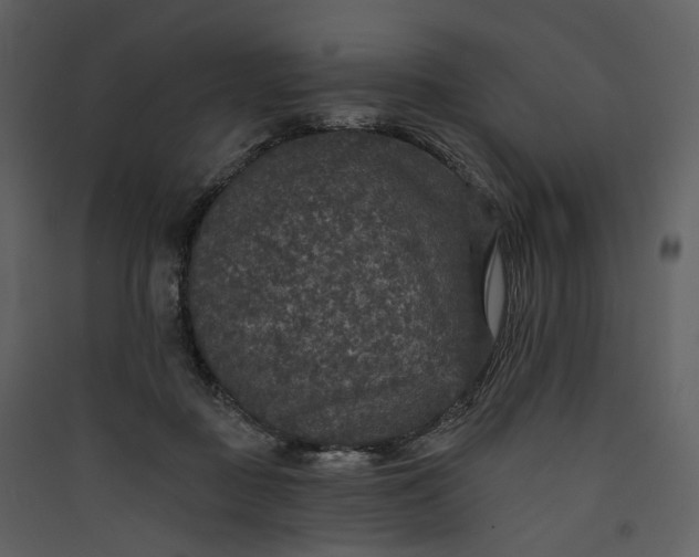 X0000089960363200707131542