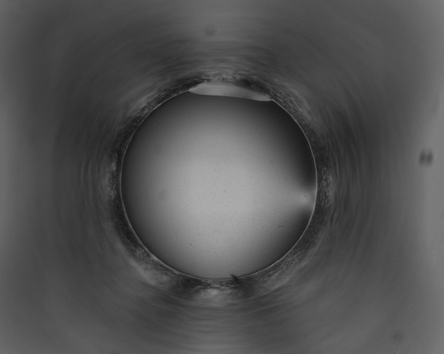 X0000089960364200707131542