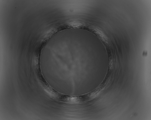 X0000089960365200707131542