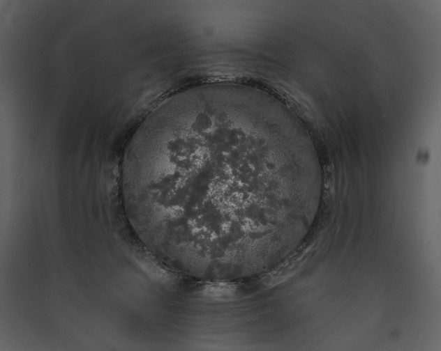 X0000089960369200707131542