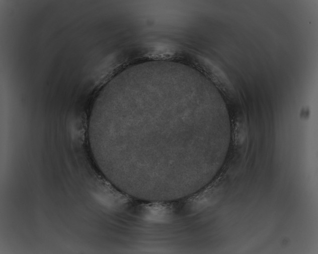 X0000089960370200707131542