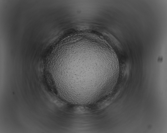 X0000089960372200707131542