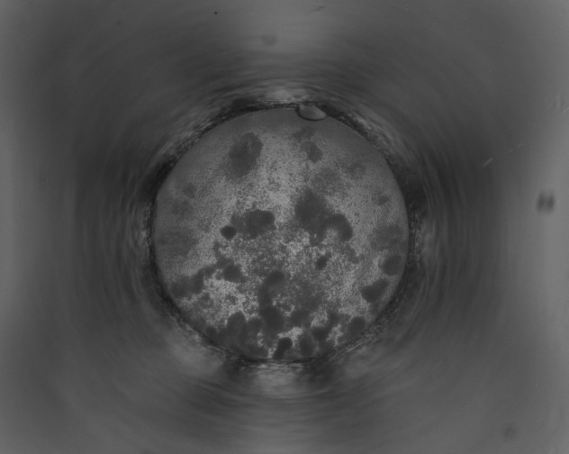 X0000089960373200707131542