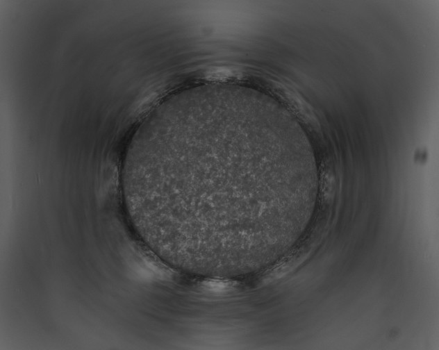 X0000089960375200707131542