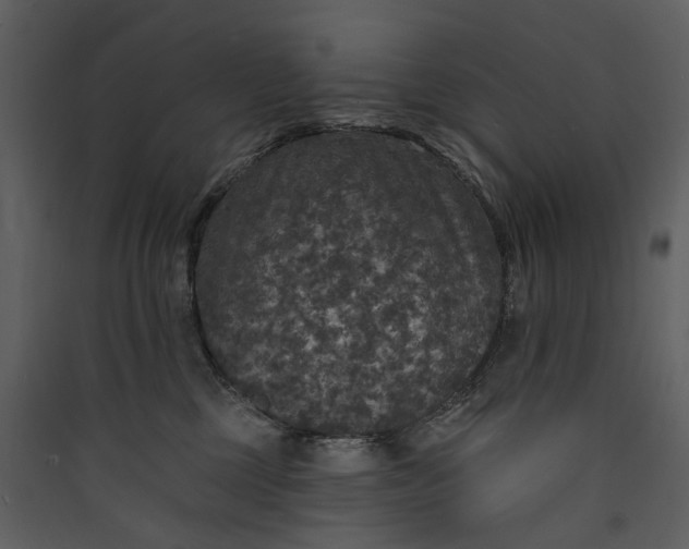 X0000089960377200707131542