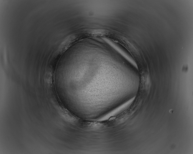 X0000089960379200707131542