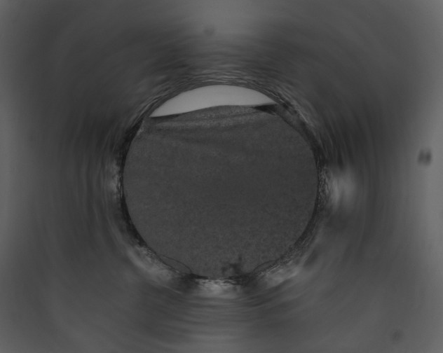 X0000089960380200707131542