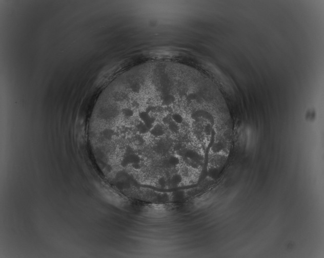X0000089960381200707131542