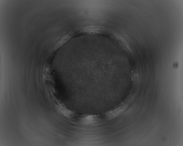 X0000089960382200707131542