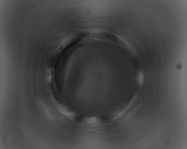 X0000089960383200707131542