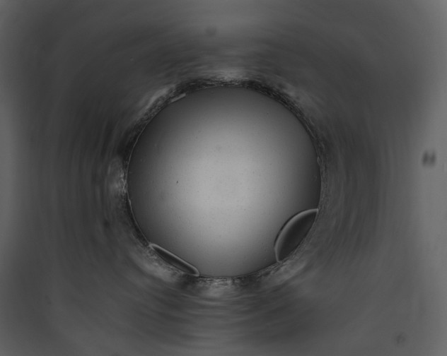 X0000089960384200707131542