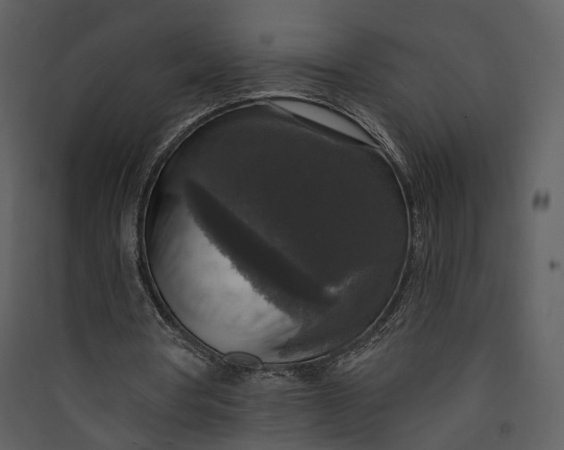 X0000089960386200707131542