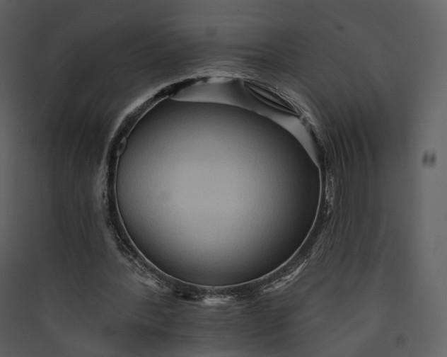 X0000089960388200707131542