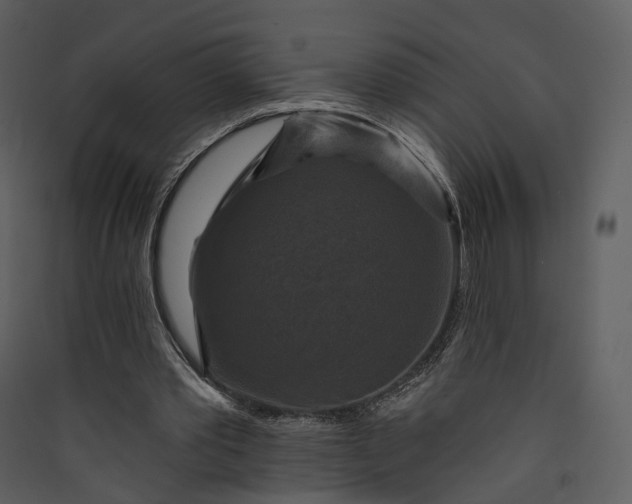 X0000089960389200707131542