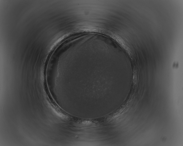 X0000089960390200707131542