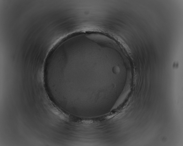 X0000089960391200707131542