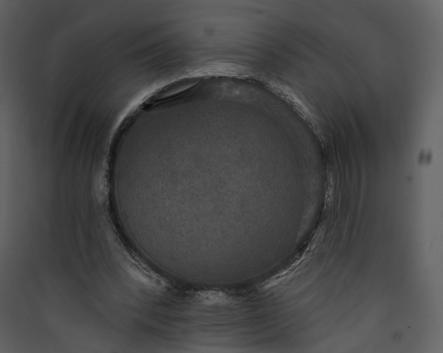 X0000089960392200707131542