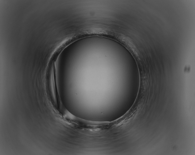 X0000089960395200707131541