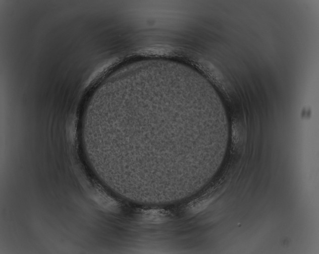 X0000089960396200707131541
