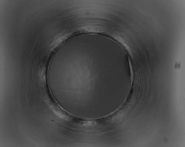 X0000089960398200707131541