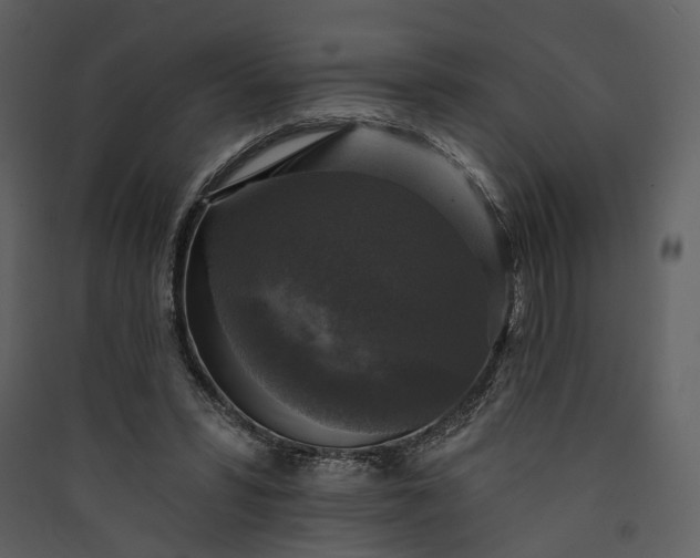 X0000089960399200707131541