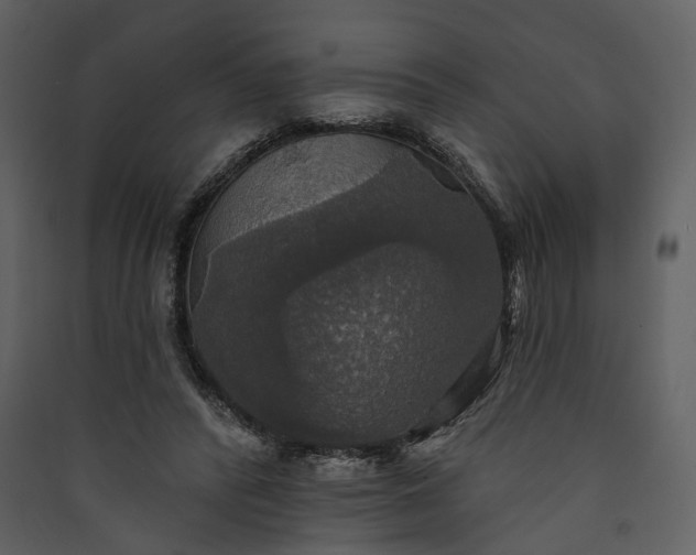 X0000089960400200707131541