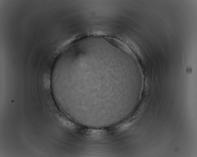 X0000089960401200707131541